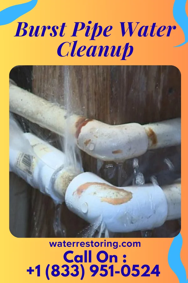 Burst Pipe Water Cleanup in Centre, AL